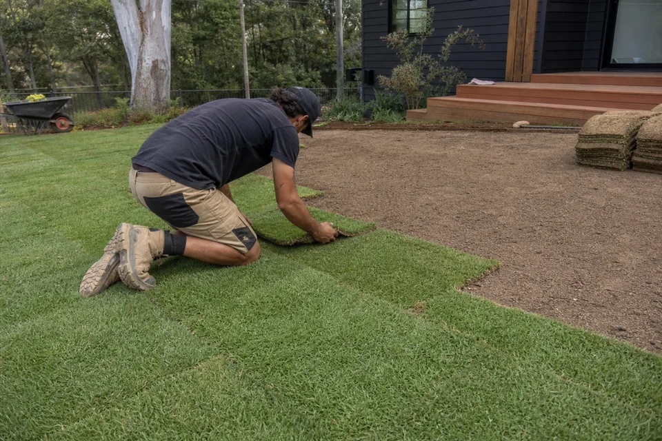 Hands lift a section of mature turf to reveal its roots and moist soil.