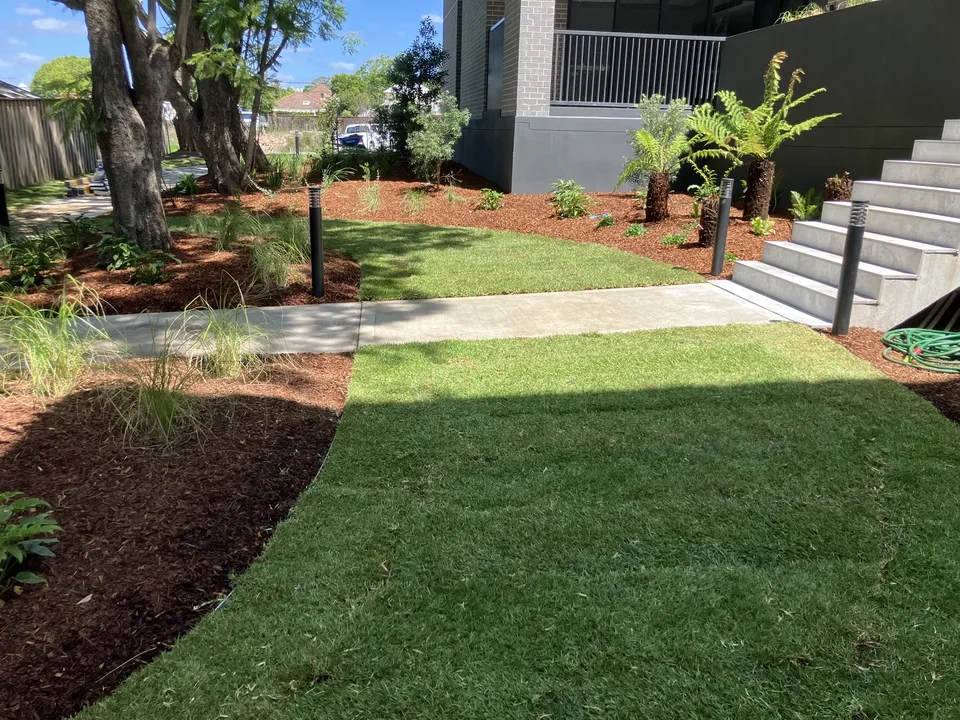 Turf curves through a shaded landscaped garden with mature trees.